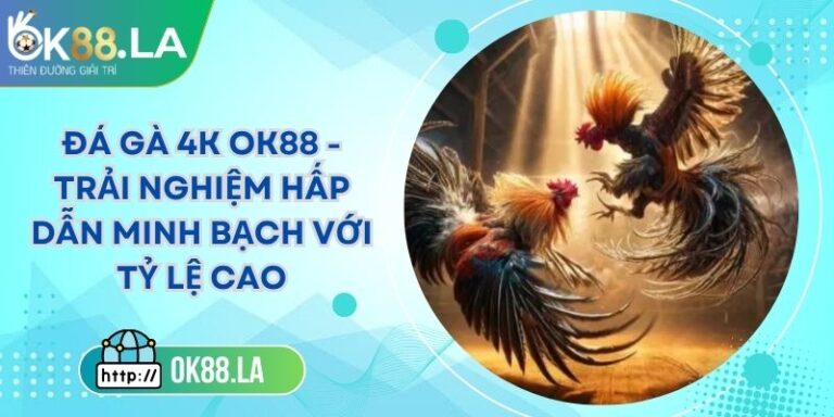 Đá Gà 4k OK88 - Trải Nghiệm Hấp Dẫn Minh Bạch Với Tỷ Lệ Cao 4 Đá Gà 4k OK88 - Trải Nghiệm Hấp Dẫn Minh Bạch Với Tỷ Lệ Cao