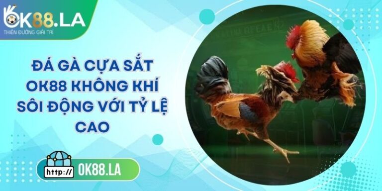 Đá Gà Cựa Sắt OK88 Không Khí Sôi Động Với Tỷ Lệ Cao 2 Đá Gà Cựa Sắt OK88 Không Khí Sôi Động Với Tỷ Lệ Cao