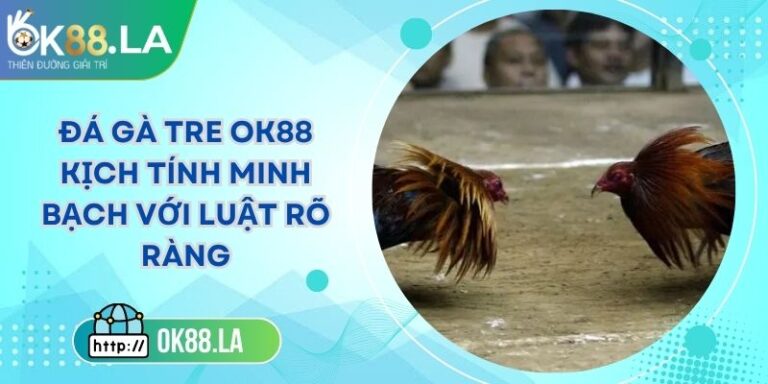 Đá Gà Tre OK88 Kịch Tính Minh Bạch Với Luật Rõ Ràng 3 Đá Gà Tre OK88 Kịch Tính Minh Bạch Với Luật Rõ Ràng