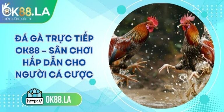 Đá Gà Trực Tiếp OK88 – Sân Chơi Hấp Dẫn Cho Người Cá Cược 7 Đá Gà Trực Tiếp OK88 – Sân Chơi Hấp Dẫn Cho Người Cá Cược
